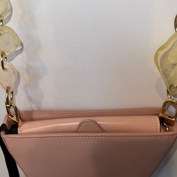 NATURAE SACRA
Cyssus Leather And Resin Shoulder Bag In Blush - Picture 6 of 13